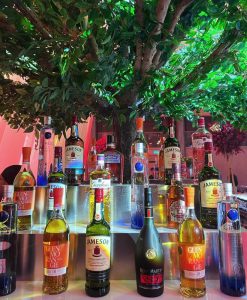 Barman entertainment